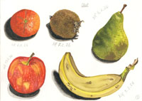 Fruit, Nicole Hörold